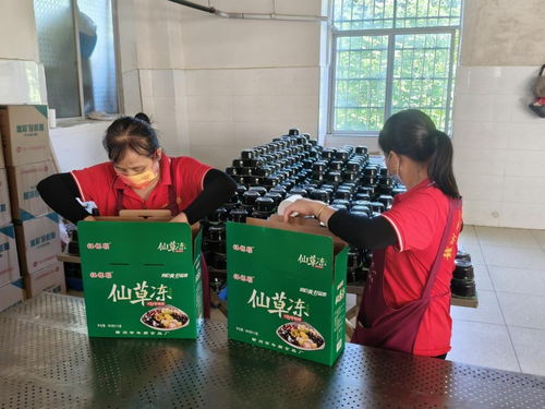 年順食品廠 守護(hù)贛南餐桌安全，共筑健康生活新未來